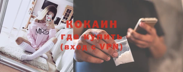 индика Богданович