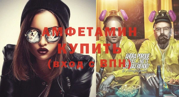 индика Богданович