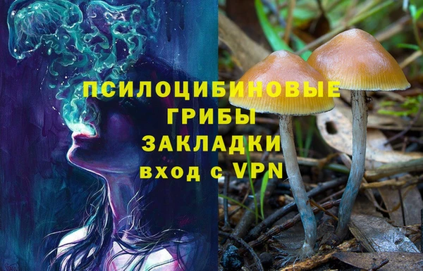 кокаин колумбия Белокуриха